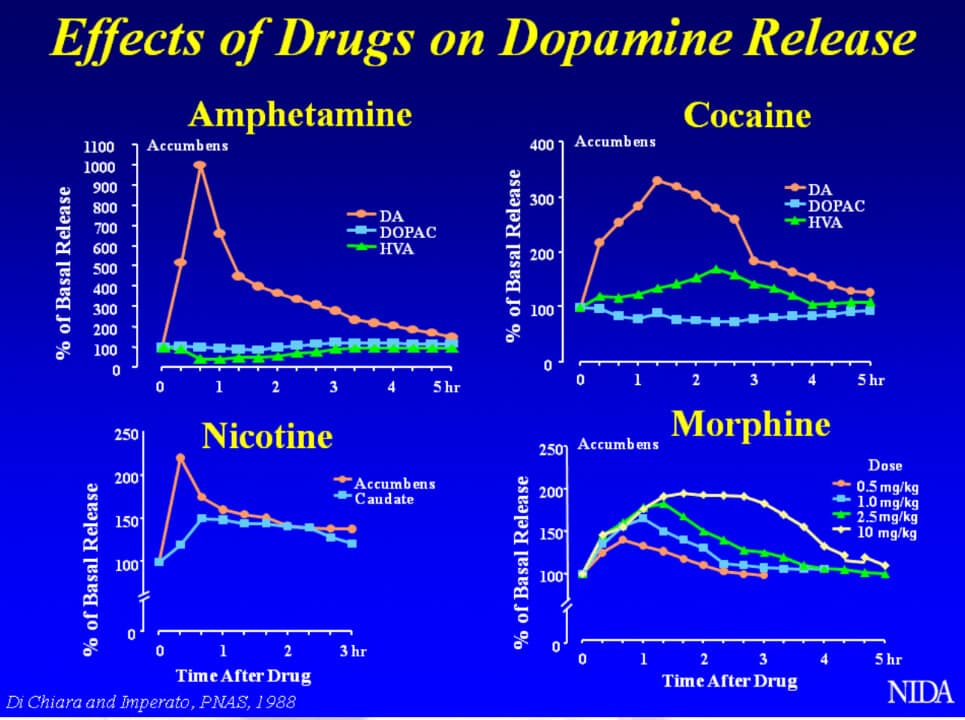 Pathogenesis Of Addiction Treatment At The Clinic Dr Vorobjev