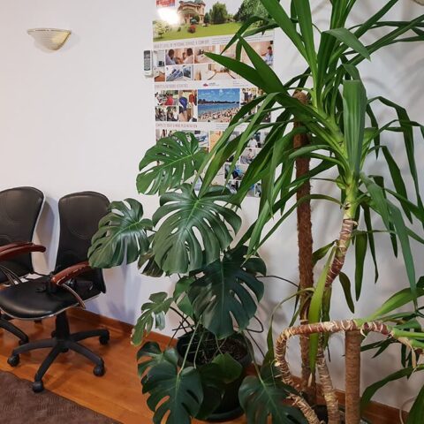 Hospital Dr. Vorobiev