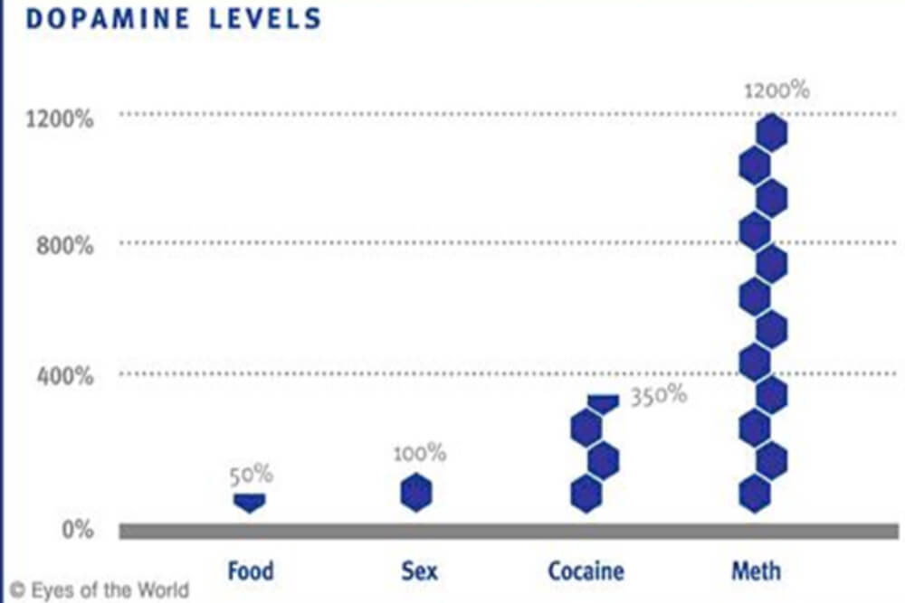 patogeneza zavisnosti