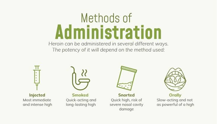 An infographic showing four routes by which heroin is administered by addicts. These are injected, smoked, snorted, and orally ingested.