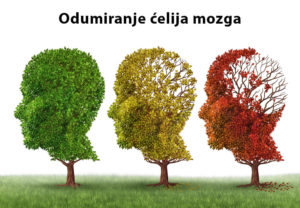 izmiranje ćelija mozga kod alkoholičara