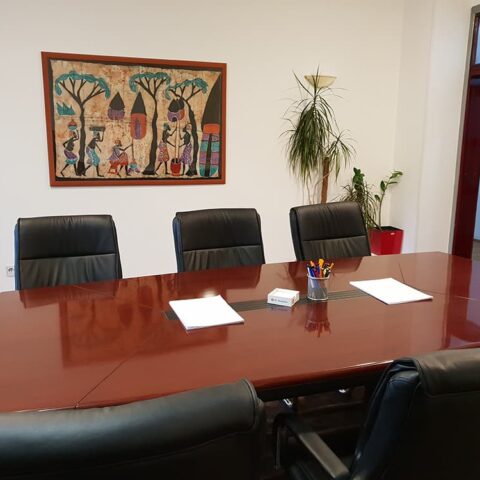 meeting room dr vorobjev hospital