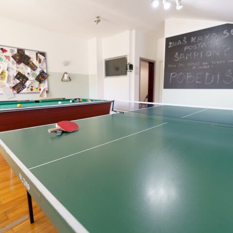 Klinika dr. Vorobjova Soba za slobodno vreme