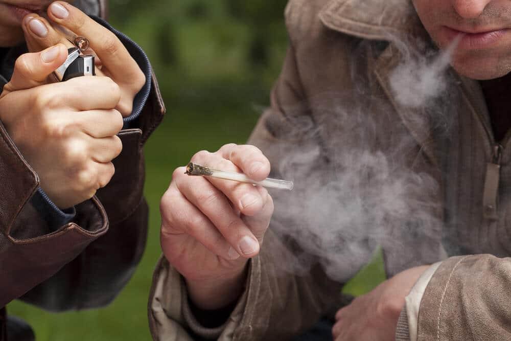 Marihuana je droga koja izaziva zavisnost! Istina o biljci koja štetno deluje na život i zdravlje!